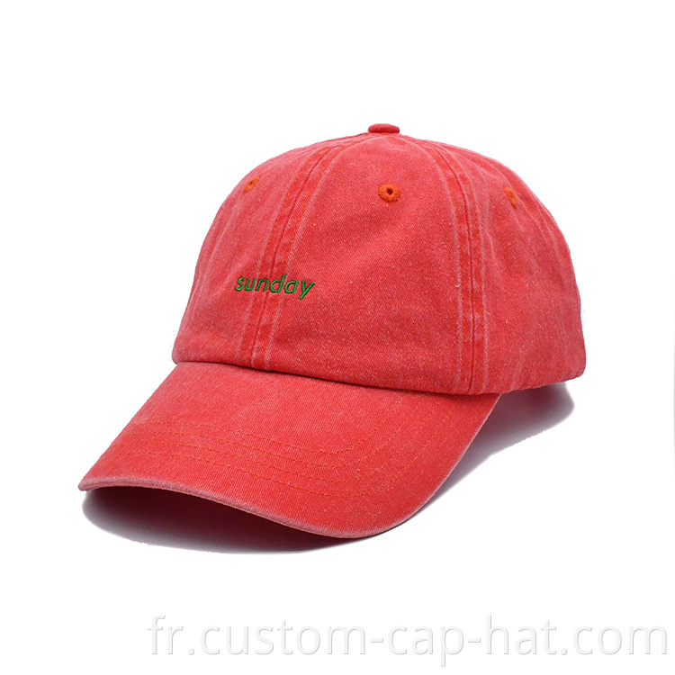 Wash Dad Cap